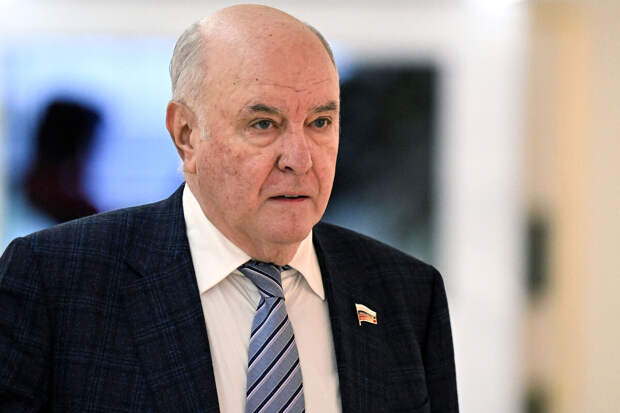 Сенатор Карасин: ЕС ответит перед законом в случае кражи активов России