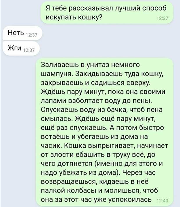 В коллекцию золотых житейских хитростей
