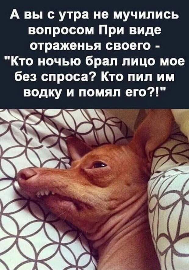 Баянисто-небаянистый юмор