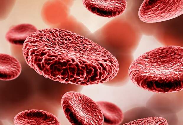 Врач Соломатина: избыток железа в крови может стать опасным последствием пристрастия к гематогену