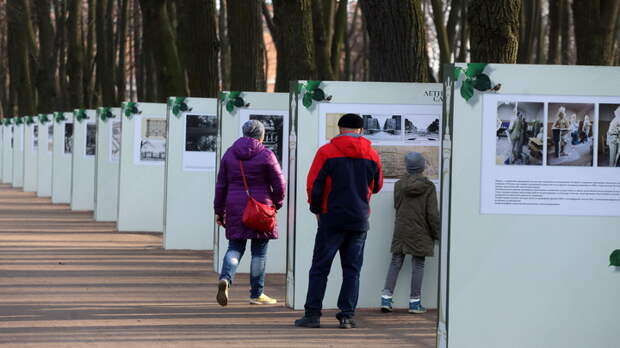 Новая атака: Кто заинтересован разрушить семью