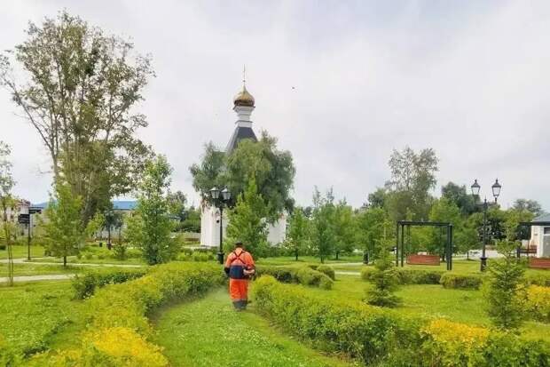 Летом на более чем 4000 тысячах квадратных метров площадей Тобольска появятся новые насаждения