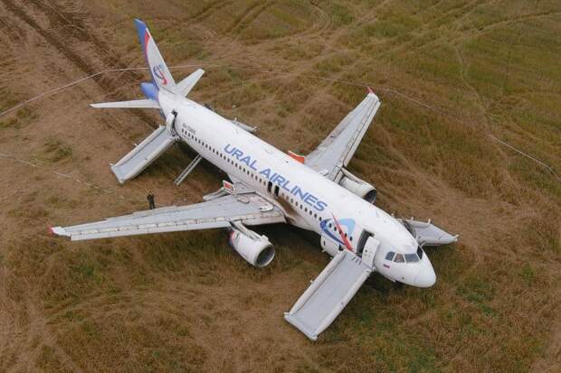 Авиакомпания получила ₽1 млрд страховки за посадку самолета в поле в Сибири
