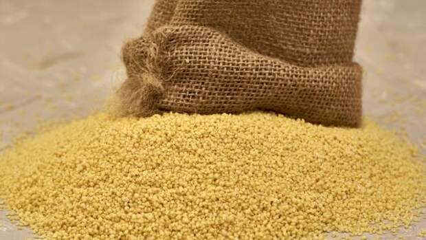 Для «неженок», которым не нравится запах: чем удобрить огород вместо навоза