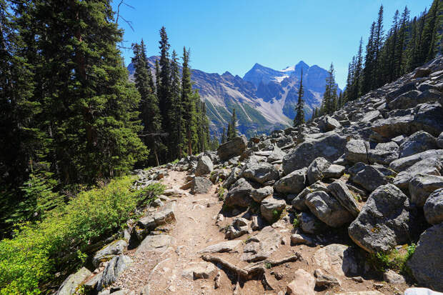 В Папуа - Новой Гвинее 10 человек не выжили при сходе оползня