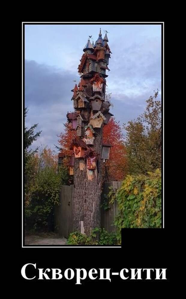 Демотиваторы (20 фото)
