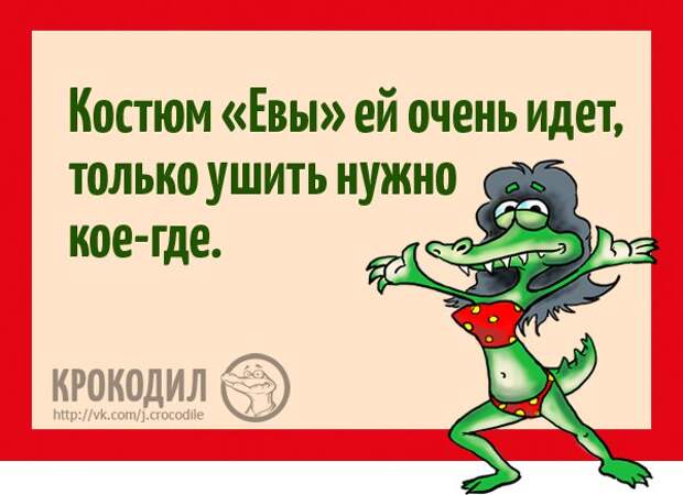 YZKNsvEIbYk