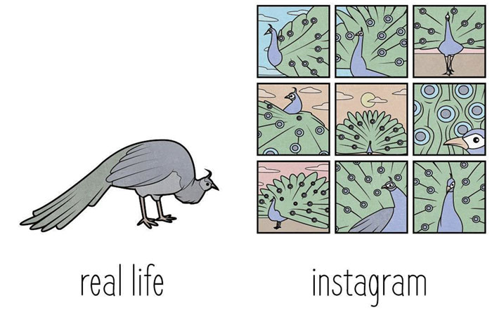 Sarcastic Illustrations