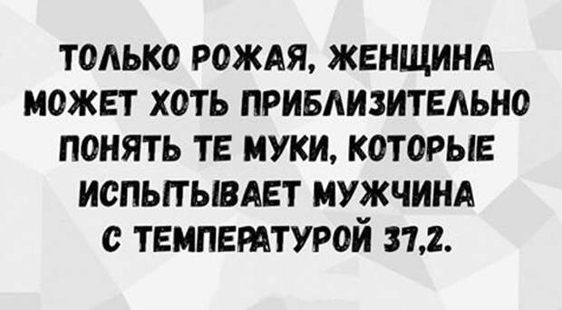 Кот футболиста никогда не спит клубком. Дюжина новых анекдотов. Кот футболиста никогда не спит клубком. Дюжина новых анекдотов.