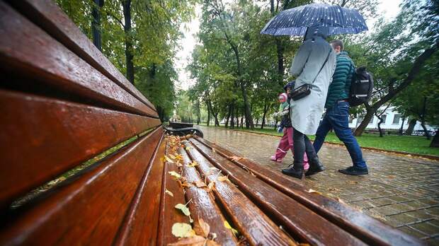 «Осень вступает в свои права»: синоптики сообщили о погоде в Москве 19 октября