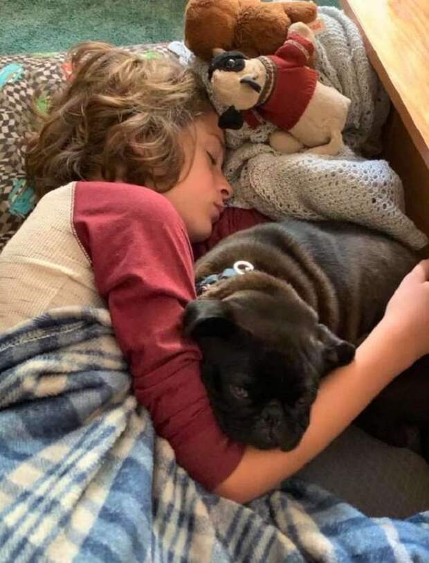 Мальчик спит с собакой