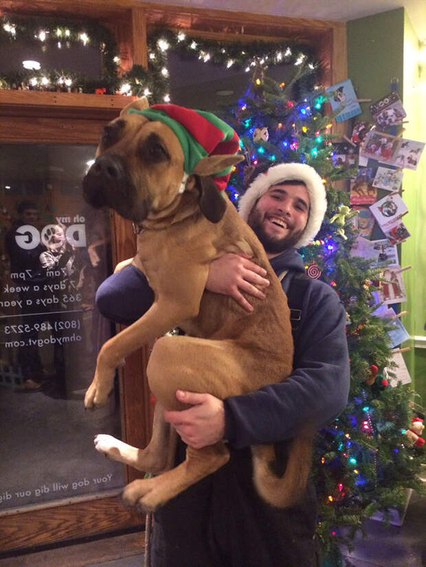 adopted-dogs-first-day-home-45-57960ae28f8c0__700