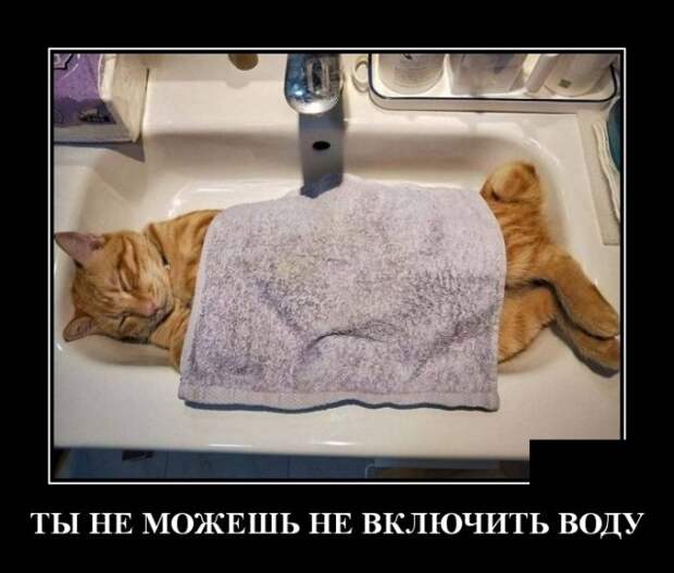 Демотиваторы (20 фото)
