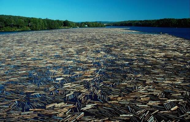 Сплав плотами. |Фото: forum.ykt.ru. Сплав плотами. |Фото: forum.ykt.ru.