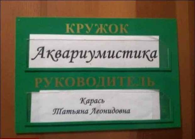 Говорящие фамилии Фамилия, Коллекция, Длиннопост