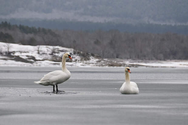 Погода 21 февраля: ночью до -3
