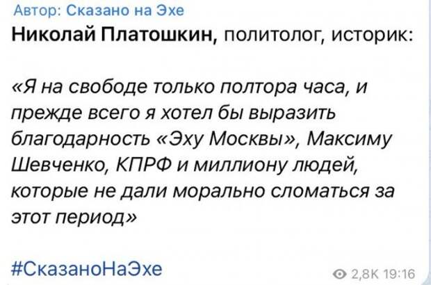 "Новый социалист" Платошкин получил условный срок