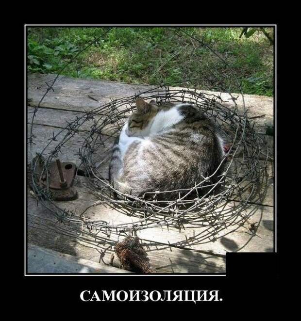 demotivatory-demotivator-smeshnye-demotivatory-demotivator-so-smyslom