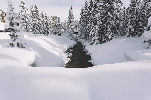 Вертолёт Robinson с полицейским и следователем пропал в Амурской области