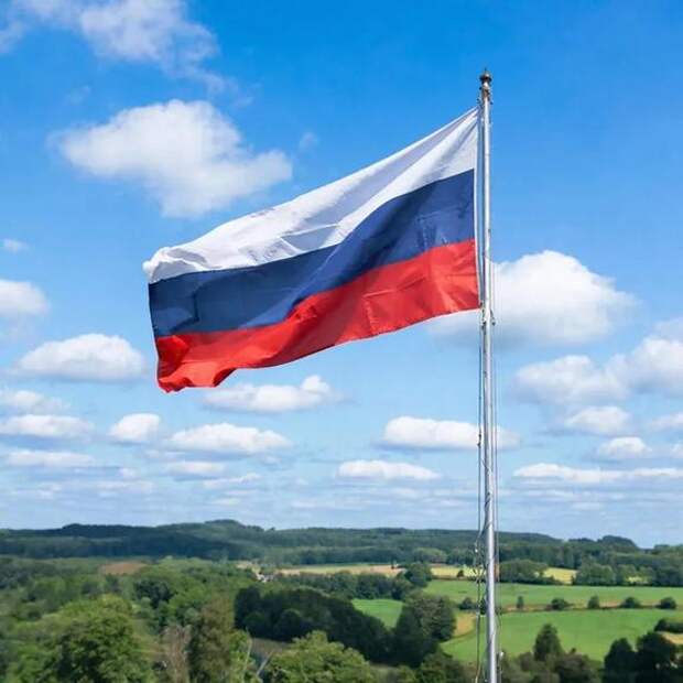 В чём нас обманул Навальный* и какие его предсказания не сбылись?