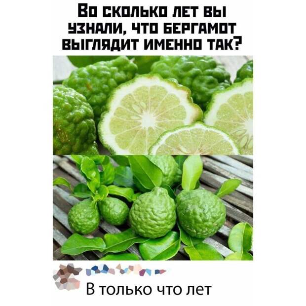 Так вот он какой Так вот он какой