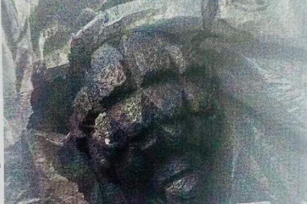 В Тамбовской области мужчина хранил дома гранату времён Первой мировой войны