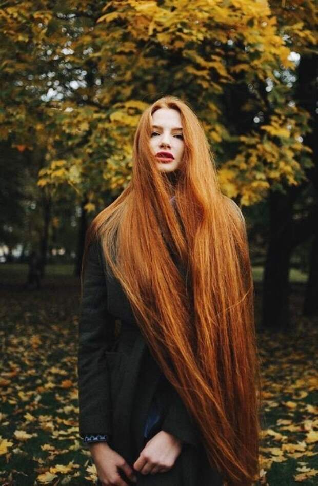 Длинноволосые, рыжеволосые волосы, девушки, ыжие