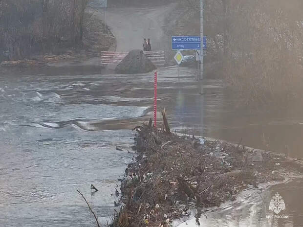 В Белевском, Суворовском и Одоеском районах Тульской области оказались подтоплены подтоплению мосты