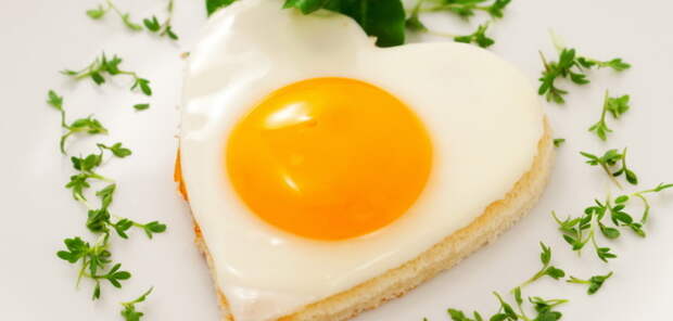 Определены уникальные свойства куриных яиц