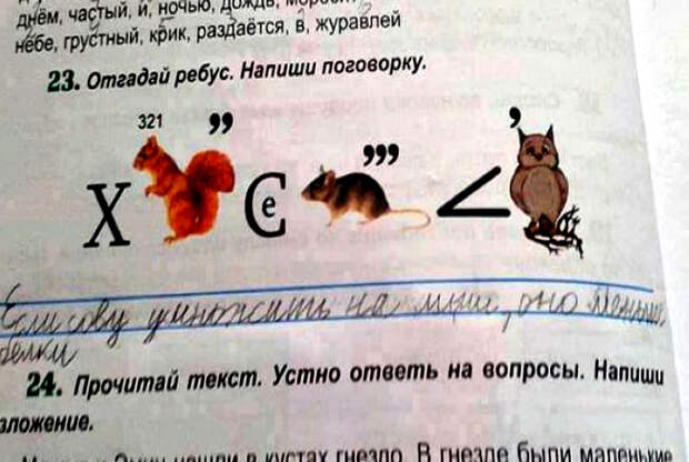 Всем поговоркам поговорка! Всем поговоркам поговорка!