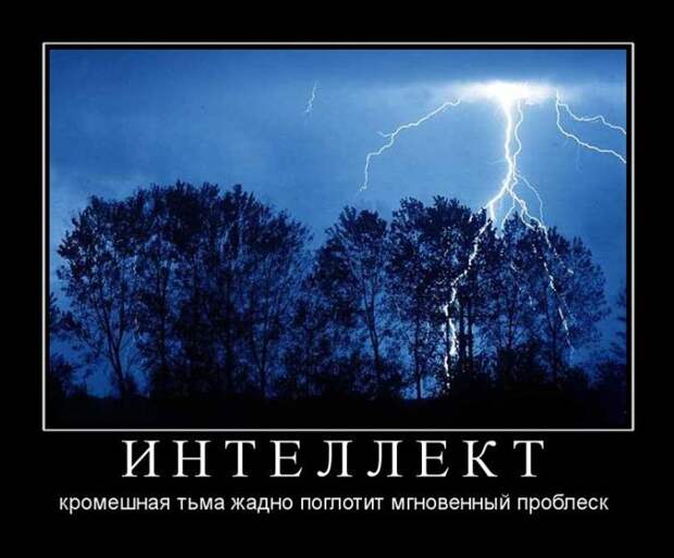Демотиваторы (30 фото)