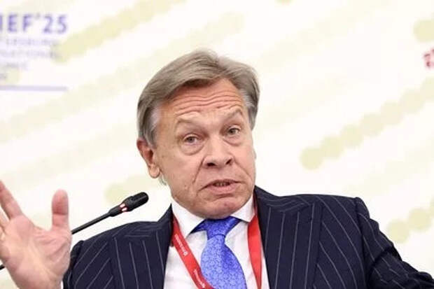 Российский сенатор раскритиковал прошедший саммит НАТО в Гааге