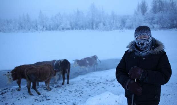 Добро пожаловать в самое холодное место на земле, где температура может упасть до –71°С! Добро пожаловать в самое холодное место на земле, где температура может упасть до –71°С!