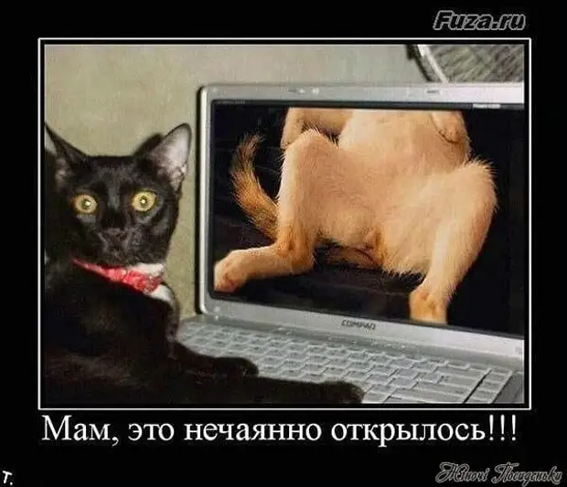 Разумный риск — это когда хотел рискнуть, но не рискнул Разумный риск — это когда хотел рискнуть, но не рискнул первый, некурящих, нижнее, белье, только, быстро, починить, таможник, забавную, историю, проблемы, этого, мнёте, нашего, мужика, поговорки, сегодня, сделать, утренний, опохмел