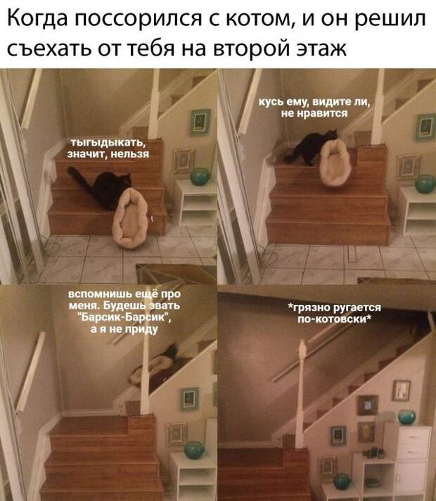 kartinok-intepesnyh-prikolnyh-kartinki-smeshnye-kartinki-fotoprikoly