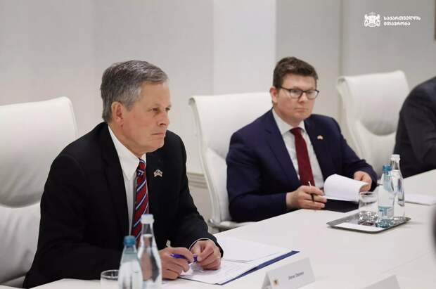 Американский сенатор Стив Дейнс в Грузии © Сourtesy of Georgian Government