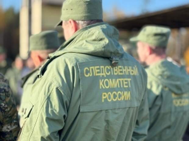 В Санкт-Петербурге серийный убийца Дмитро Вороненко признан виновным в убийстве женщины и ребенка, совершенных в 2005 и 2006 годах