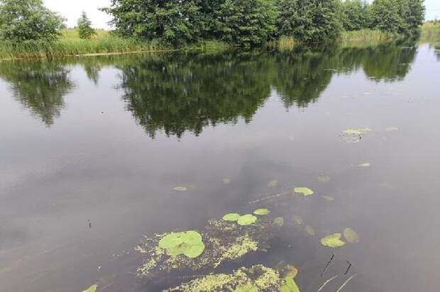 В Тамбовских правилах безопасности на воде могут появиться сапборды