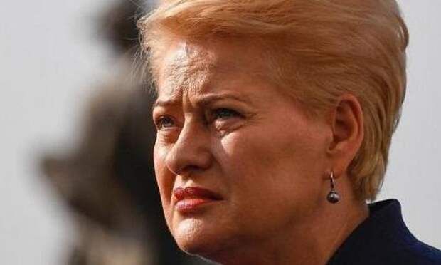 Грибаускайте собралась на войну с Россией из-за Украины