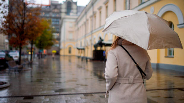 В Москве побит 85-летний рекорд тепла – температура поднялась почти до +10°C