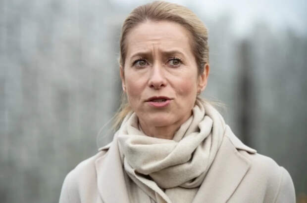 Каллас подтвердила конфликт с госсекретарем США на встрече G7