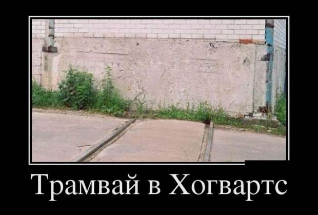 Подборка демотиваторов позитивных и веселых (11 фото) Подборка демотиваторов позитивных и веселых (11 фото)