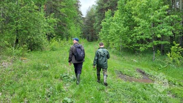 Пропавшие в лесу Свердловской области дети найдены живыми