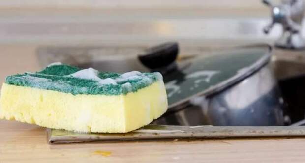 Как правильно использовать губку