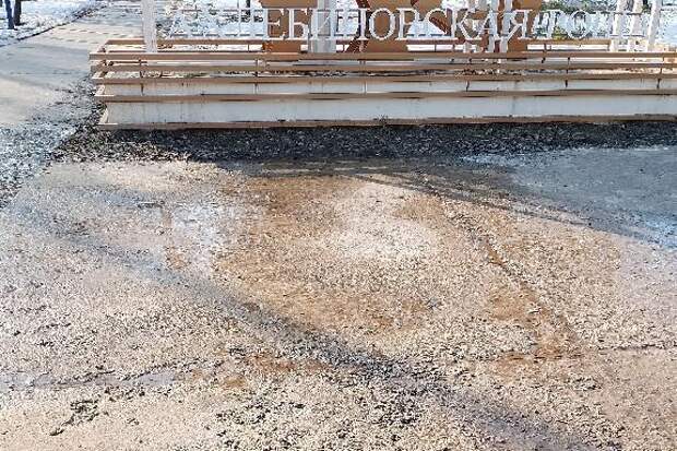 В Ахлебиновской роще вместе со снегом "тает" новое бетонное покрытие