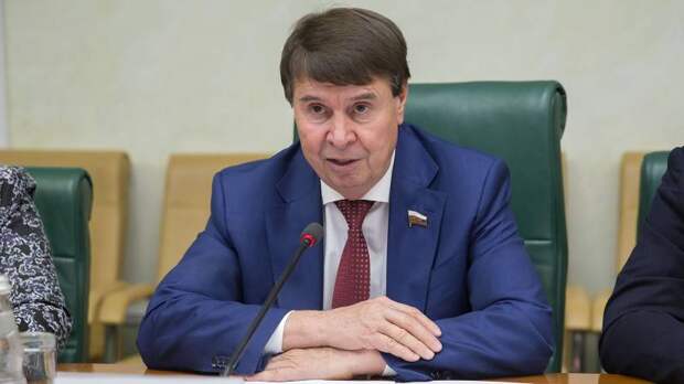 Сенатор Цеков назвал домыслами публикации о планах по «вторжению» России на Украину