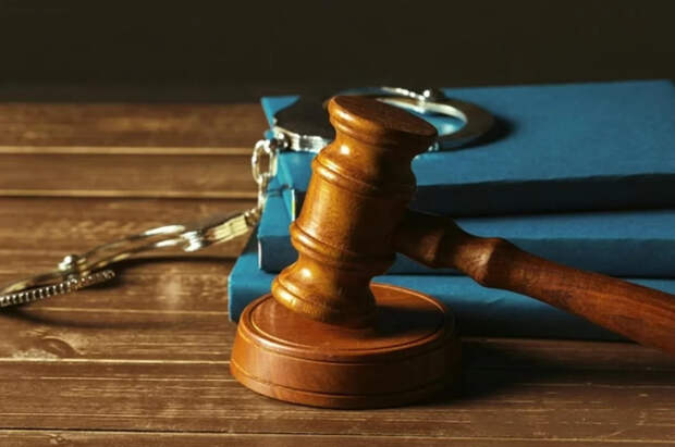 «Спасали от динозавров»: суд забрал девочку из семьи сектантов под Вологдой