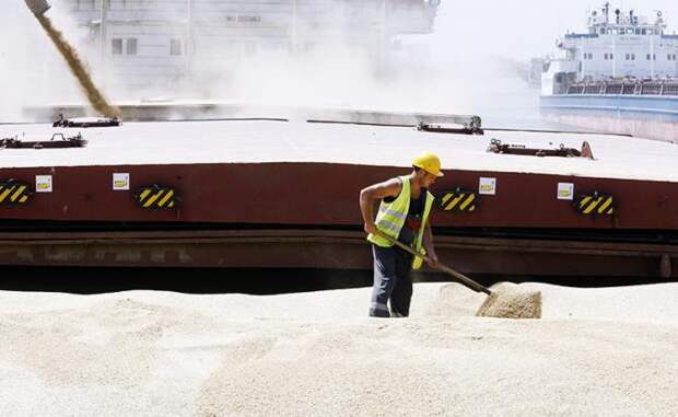 Украина обвинила Израиль в скупке «украденного» Россией зерна