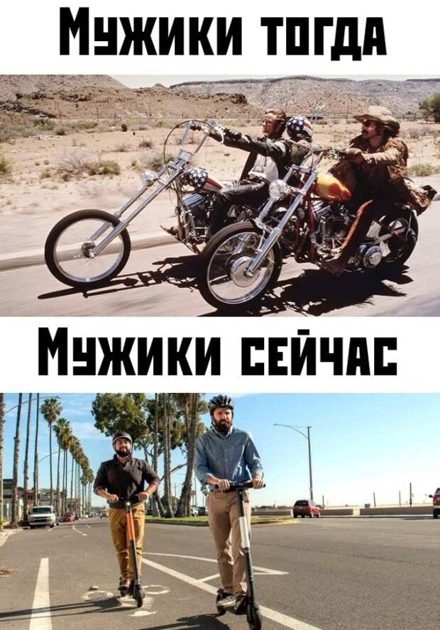 kartinok-intepesnyh-prikolnyh-kartinki-smeshnye-kartinki-fotoprikoly