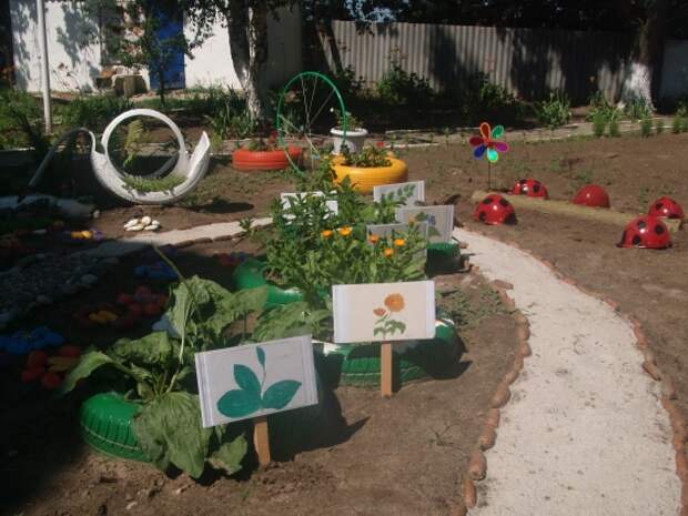 Экологическая работа с детьми на площадке детского сада